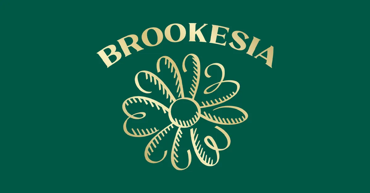 BROOKESIA